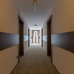 Stachon 扎科帕内