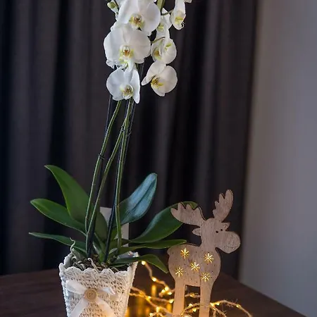 Bed & Breakfast Stachon Zakopane